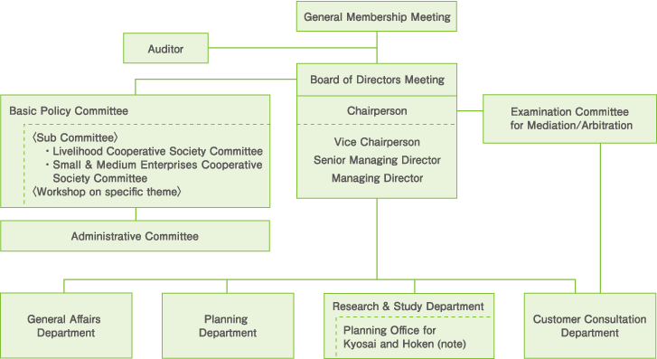 Management Structure